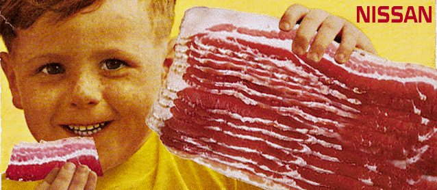 The Hog Ring - Auto Upholstery Community - Nissan Baby Skin Bacon Artifical Finger