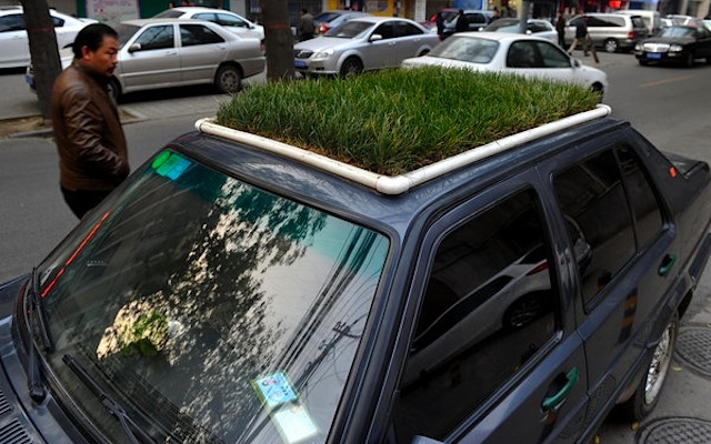 The Hog Ring - Auto Upholstery Community - Grass Vinyl Top Car Roof
