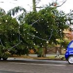 Auto Upholstery - The Hog Ring - Christmas Tree Car Parts