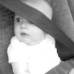 Auto Upholstery - The Hog Ring - Child Car Safety Seat
