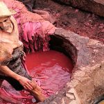Auto Upholstery - The Hog Ring - Dangerous Leather Tanneries
