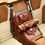 Auto Upholstery - The Hog Ring - Aston Martin DB9 Equestrian Edition