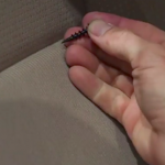 Auto Upholstery - The Hog Ring - NSV Seat Covers