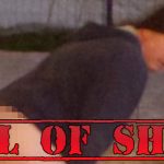 Auto Upholstery - The Hog Ring - Bowel Movement Bandit