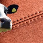 Auto Upholstery - The Hog Ring - Cow Hide Leather