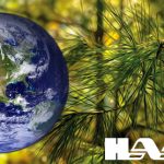 Auto Upholstery - The Hog Ring - Haartz Corporation - Earth Day