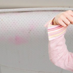 The Hog Ring - That Pink Stain on Your Vinyl is Bacteria Poop