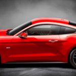 The Hog Ring - Vilner Just Trimmed a Mustang in Horse Leather