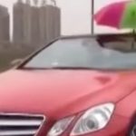 The Hog Ring - Introducing the Umbrella Convertible Top