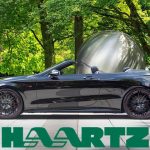 The Hog RIng - Haartz A Model for Green Companies