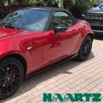 The Hog Ring - Haartz Goes Topless in Miami