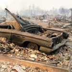 The Hog Ring - Help Trimmers Affected by Wildfires