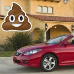 The Hog Ring - Poo Vandal Targets New Orleans Convertibles