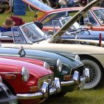 The Hog Ring - Its Almost Collector Car Appreciation Day