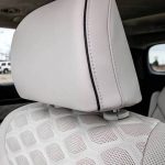 The Hog Ring - The Hyundai Palisade Leather Interior Stinks
