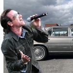The Hog Ring - Bono Trimmed Car in Ugly Cowhide