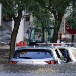 The Hog Ring - Help Trimmers Impacted by Hurricane Ida