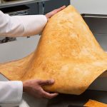 The Hog Ring - GM Just Invested in a Mushroom Leather Company