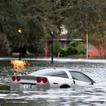 The Hog Ring - Help Trimmers Impacted by Hurricane Ian