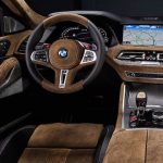 The Hog Ring - This BMW X6 in Upholstered in Deer Leather