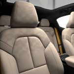 The Hog Ring - Polestar wants to replace leather