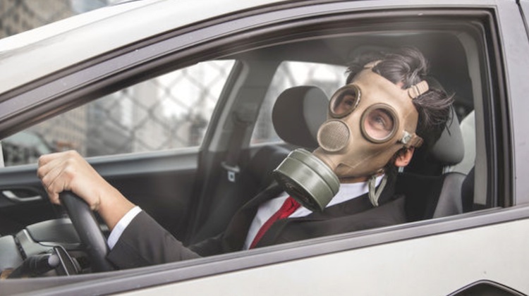 The Hog Ring - Sign This Petition to Remove Toxic Chemicals from Interiors