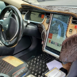 The Hog Ring - Tesla Model Ass Interior
