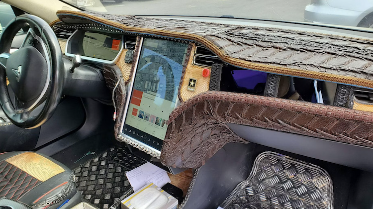 The Hog Ring - Tesla Model Ass Interior