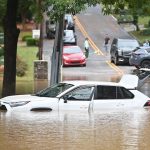 The Hog Ring - Help Trimmers Impacted by Hurricane Helene