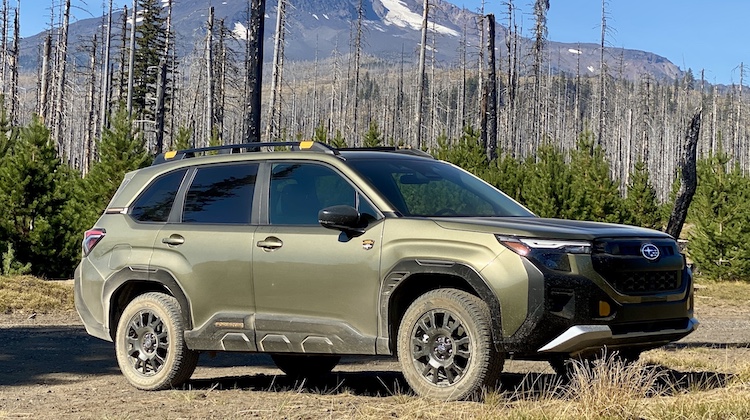 The Hog Ring - The 2026 Forester Wilderness Has the Most Subaru Cup Holder Ever